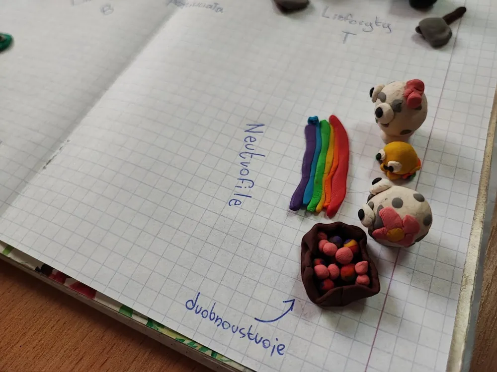 Ryba na stole badawczym, zdjęcie 4