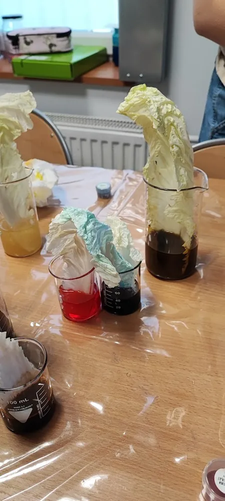 Wiosenne eksperymenty, zdjęcie 4