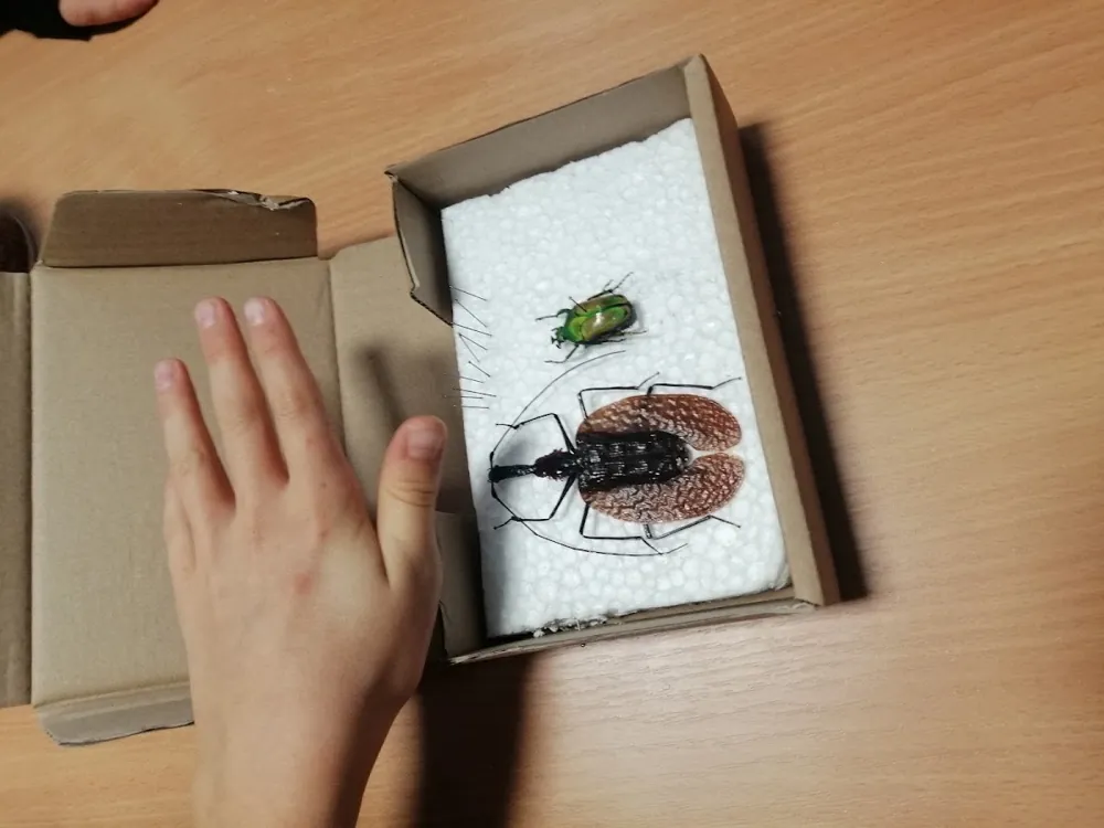 Wrzesień na wodzie i w laboratorium, zdjęcie 4