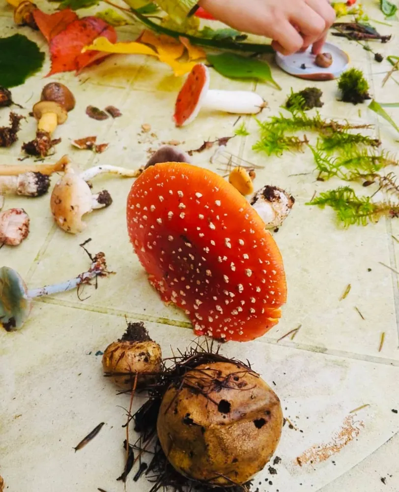 Biologia w terenie i nocowanka, zdjęcie 3