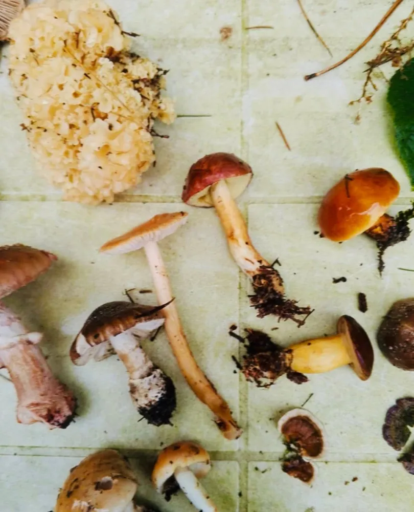 Biologia w terenie i nocowanka, zdjęcie 5