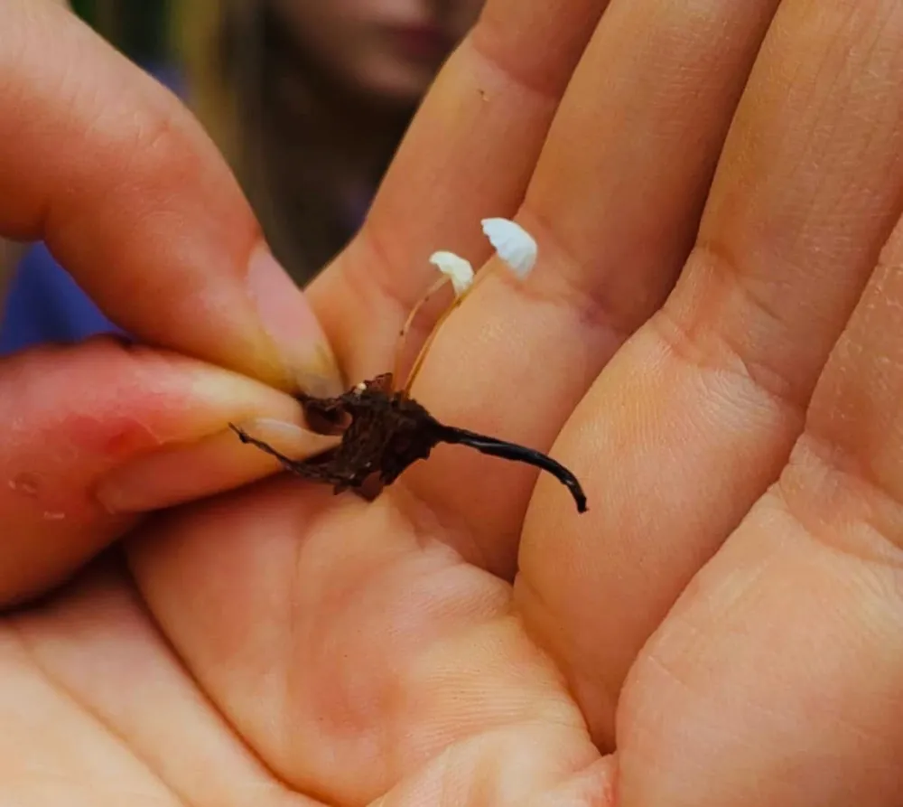 Biologia w terenie i nocowanka, zdjęcie 7