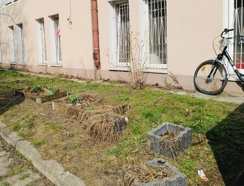 Przywitanie wiosny: sadzimy ogród przed szkołą, zdjęcie 4