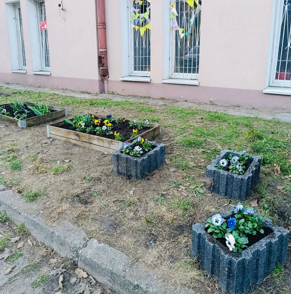 Przywitanie wiosny: sadzimy ogród przed szkołą, zdjęcie 5