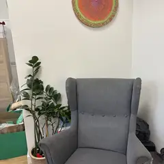 Fotel do czytania i duża roślina